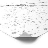 Emerald Green en Silver Tiara Quinceanera Poster (Hoek)