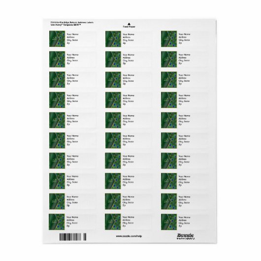 Emerald Green Peacock Adres Label (Full Sheet)