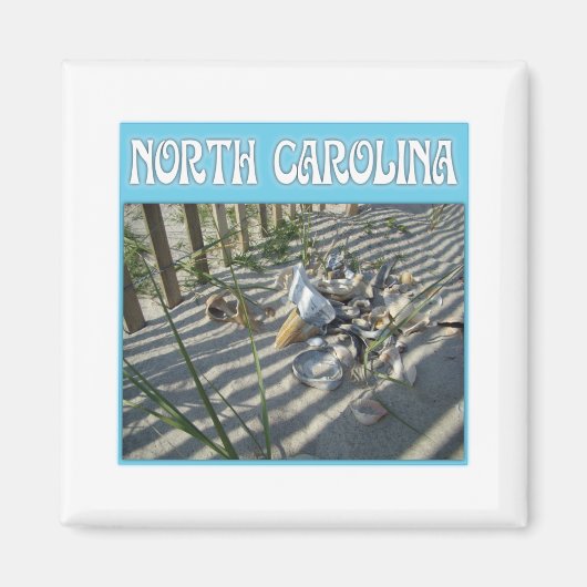 Emerald Isle Beach Seashell Collectie Magneet (Voorkant)