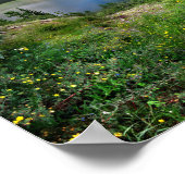 Emerald Lake 4 - Weminuche Wilderness - Colorado Poster (Hoek)