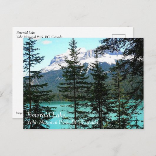Emerald Lake Briefkaart (Voorkant / Achterkant)