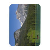 Emerald Lake, Canadese Rockies, Brits Magneet (Verticaal)