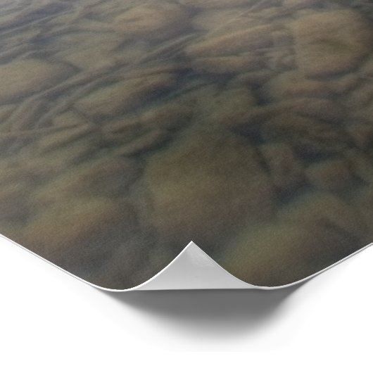 Emerald Lake Canoes Poster (Hoek)