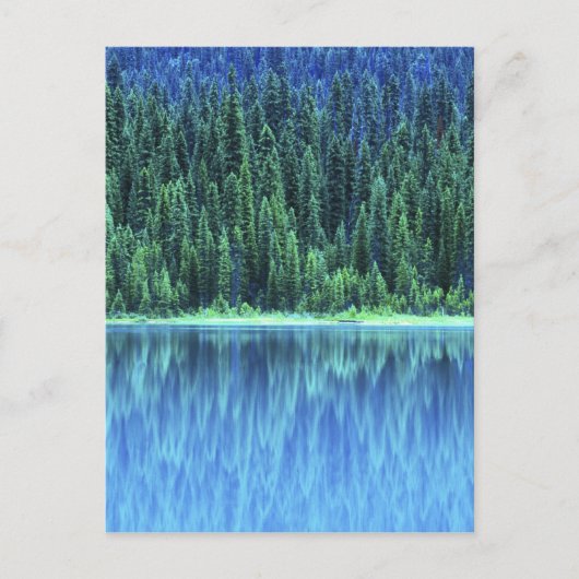 Emerald Lake, Yoho NP, BC, Canada Briefkaart (Voorkant)