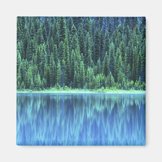 Emerald Lake, Yoho NP, BC, Canada Magneet (Voorkant)