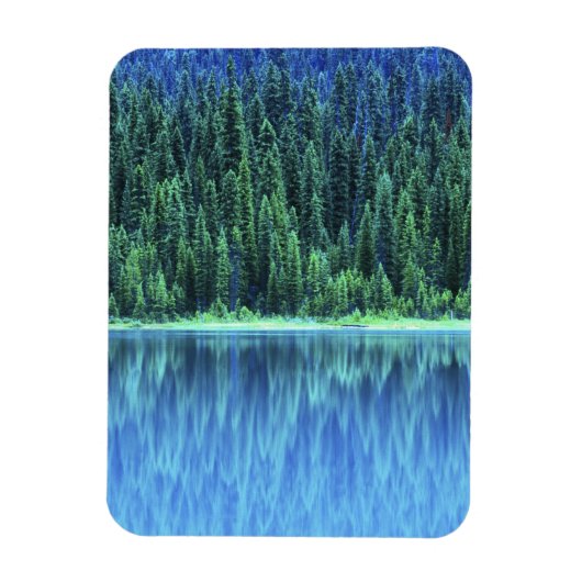 Emerald Lake, Yoho NP, BC, Canada Magneet (Verticaal)