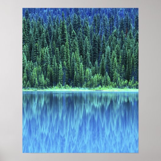 Emerald Lake, Yoho NP, BC, Canada Poster (Voorkant)