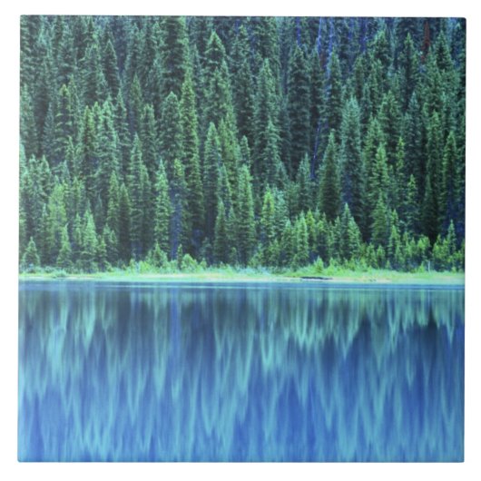 Emerald Lake, Yoho NP, BC, Canada Tegeltje (Voorkant)