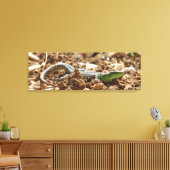 Emerald lizard Salamander op aarde Canvas Afdruk (Insitu (Woonkamer))