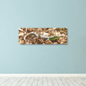 Emerald lizard Salamander op aarde Canvas Afdruk (Insitu (Houten vloer))