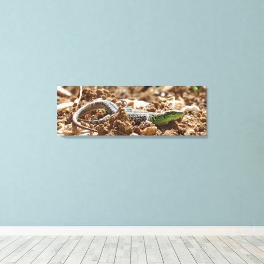 Emerald lizard Salamander op aarde Canvas Afdruk (Insitu (Houten vloer))