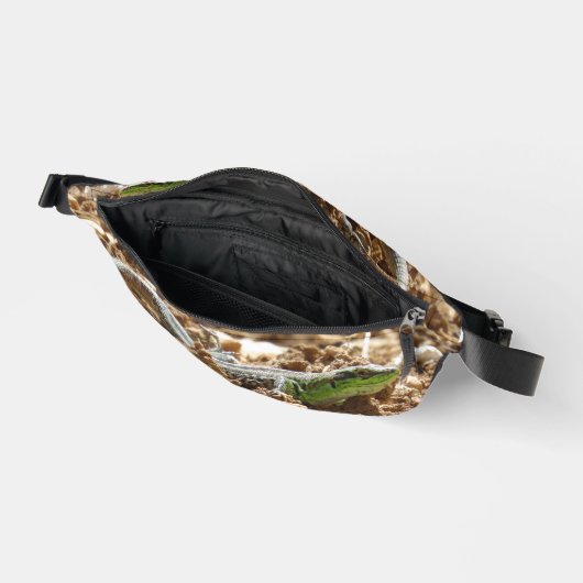 Emerald lizard Salamander op aarde Heuptasje (Open)