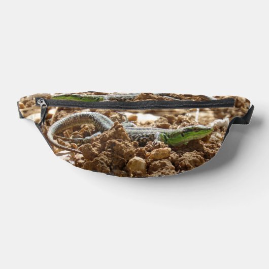 Emerald lizard Salamander op aarde Heuptasje (Liggend)