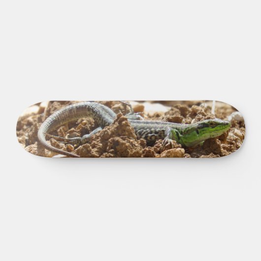 Emerald lizard Salamander op aarde Persoonlijk Skateboard (Horizontaal)