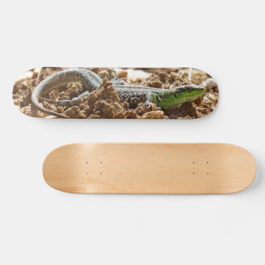 Emerald lizard Salamander op aarde Persoonlijk Skateboard (Horizontaal)