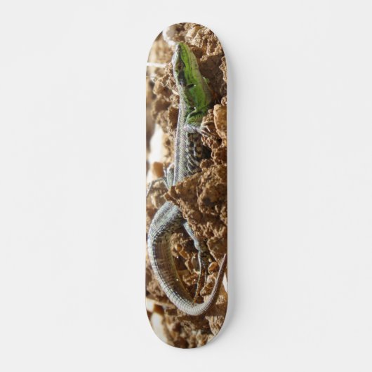 Emerald lizard Salamander op aarde Persoonlijk Skateboard (Voorkant)
