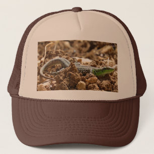 Emerald lizard Salamander op aarde Trucker Pet