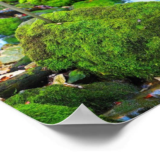 "Emerald Oasis: De met algen bedekte steen" Poster (Hoek)