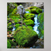 "Emerald Oasis: De met algen bedekte steen" Poster (Voorkant)