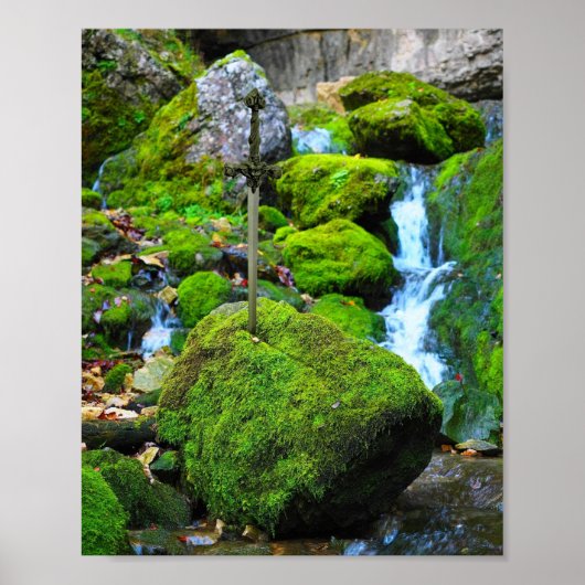 "Emerald Oasis: De met algen bedekte steen" Poster (Voorkant)