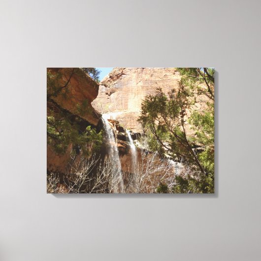 Emerald Pool Falls I uit Zion National Park Canvas Afdruk (Voorkant)