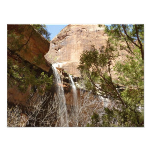 Emerald Pool Falls I uit Zion National Park Foto Afdruk