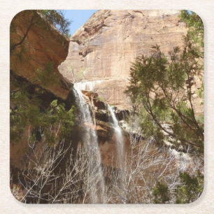 Emerald Pool Falls I uit Zion National Park Kartonnen Onderzetters