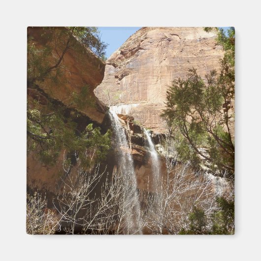 Emerald Pool Falls I uit Zion National Park Magneet (Voorkant)