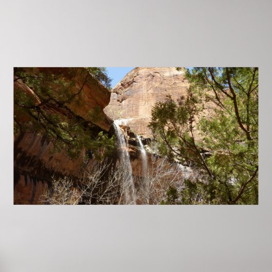 Emerald Pool Falls I uit Zion National Park Poster (Voorkant)