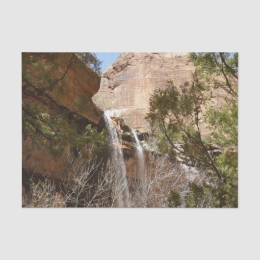 Emerald Pool Falls I uit Zion National Park Tissuepapier (Voorkant)