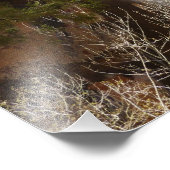 Emerald Pool Herfst I uit het Nationaal Park Zion Foto Afdruk (Hoek)