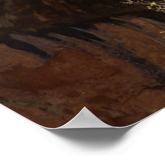 Emerald Pool Herfst I uit het Nationaal Park Zion Poster (Hoek)