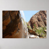 Emerald Pool Herfst II uit het Nationaal Park Zion Poster (Voorkant)