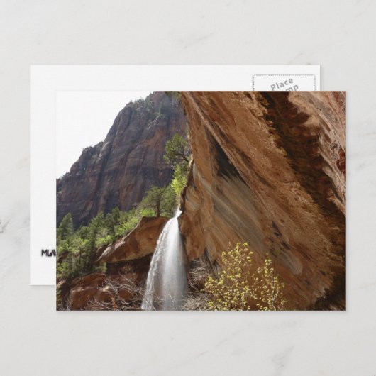 Emerald Pool Herfst III van het Nationaal Park Zio Briefkaart (Voorkant / Achterkant)