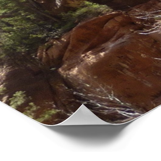 Emerald Pool Herfst III van het Nationaal Park Zio Poster (Hoek)