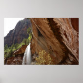 Emerald Pool Herfst III van het Nationaal Park Zio Poster (Voorkant)