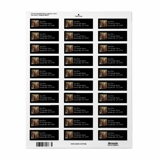 Emerald Pool Herfst IV uit het Nationaal Park Zion Etiket (Full Sheet)