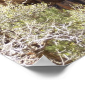 Emerald Pool Herfst IV uit het Nationaal Park Zion Poster (Hoek)