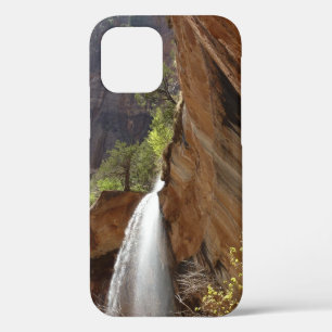 Emerald Pool Watervallen III uit Zion National Par Case-Mate iPhone Case