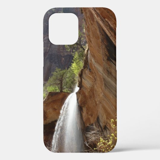 Emerald Pool Watervallen III uit Zion National Par Case-Mate iPhone Case (Achterkant)