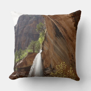 Emerald Pool Watervallen III uit Zion National Par Kussen
