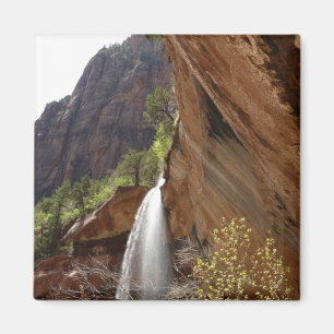 Emerald Pool Watervallen III uit Zion National Par Magneet