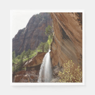 Emerald Pool Watervallen III uit Zion National Par Servet