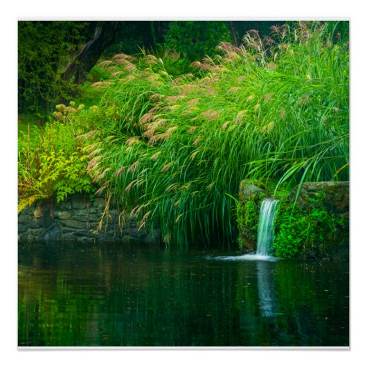 Emerald Stillness by the Garden Falls Perfect Poster (Voorkant)