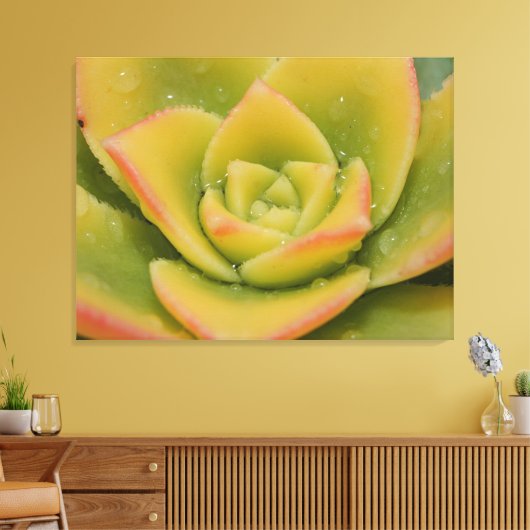 Emerald Succulent Macro Canvas Wall Art Print (Insitu (Woonkamer))