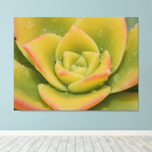 Emerald Succulent Macro Canvas Wall Art Print  (Insitu (Houten vloer))