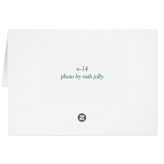 Emerald Swallowtail (Achterkant Horizontaal)