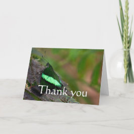 Emerald Swallowtail bedankt