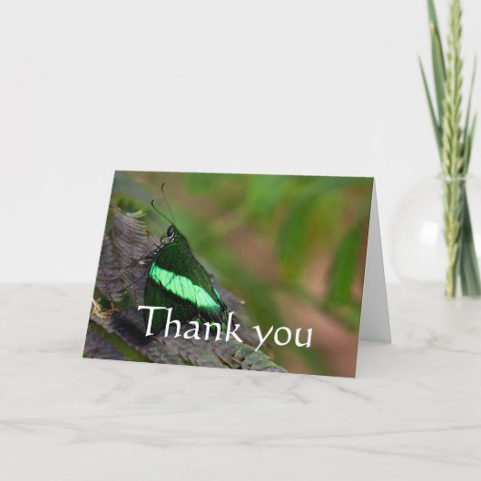 Emerald Swallowtail bedankt (Voorkant)