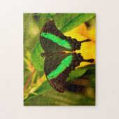 Emerald Swallowtail Butterfly. Legpuzzel (Verticaal)